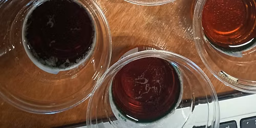 Overdue for a Brew: Introduction to Beer Judging