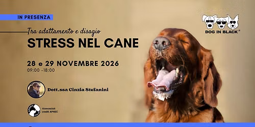 Stress nel cane: tra adattamento e disagio