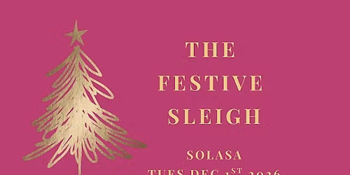 'The Festive Sleigh' - Solasa