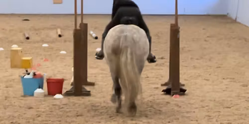 Trec Lessons with Rhoda (RDA)