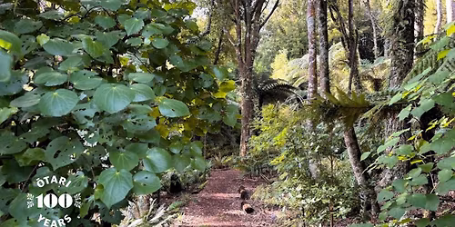 An introduction to Wellington\u2019s common native plants