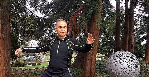 Tai Chi with Nelson Ng