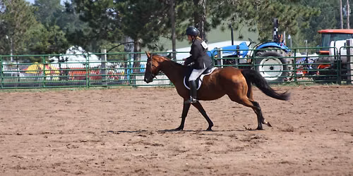 Horse Show by Chequamegon EZ Riders