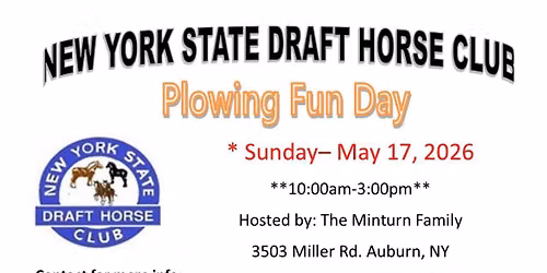 Plowing fun day sponsored by the New York State Draft Horse Club