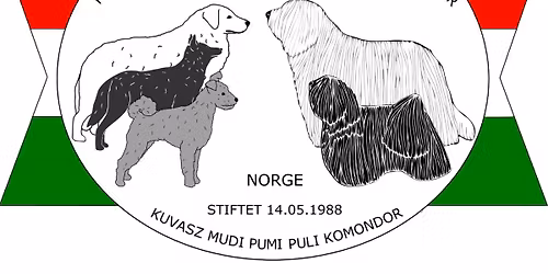 Sett av helgen 10 og 11 oktober og bli med p\u00e5 fire starter i rally 