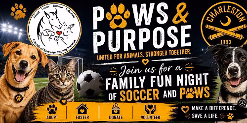 Friends of Berkeley County Animals Team Up With Charleston Battery \u26bd