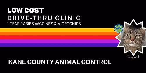 Low Cost Drive-Thru Rabies Vaccine and Microchip Clinic