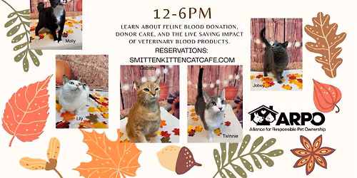 Be a Hero for a Hero Adoption Event