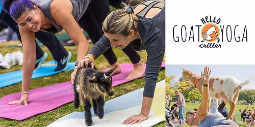 11:30 am Goat Yoga at the L.A. Arboretum