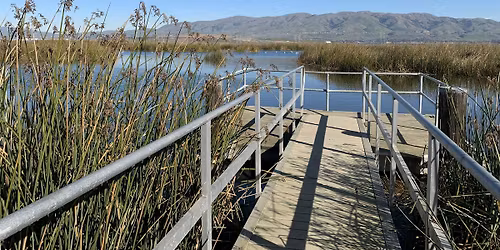 December 2025 King Tides in Alviso