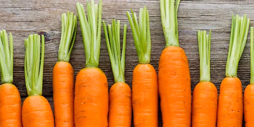 Whole Foods Co-op Board Meeting