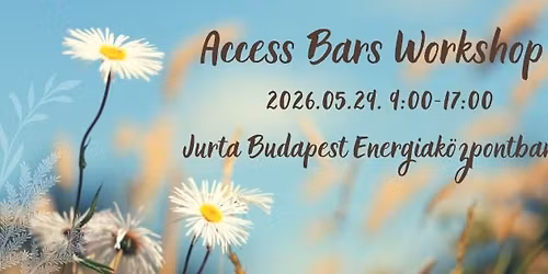 Access Bars Workshop