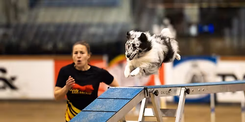 Seminarie Veerle Jacobs 