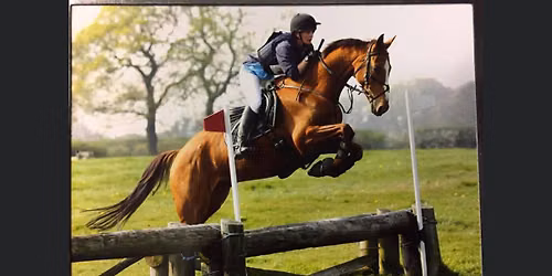 Showjumping competition