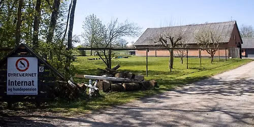 \u00c5bent Hus hos Dyrev\u00e6rnet i Kolding