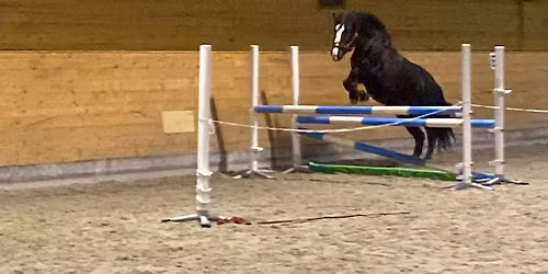 Stav KRK: L\u00f8shopping