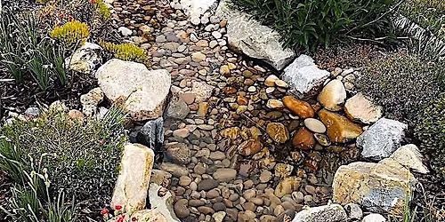 Rain Harvesting for Homeowners