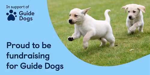 Guide Dogs at the Meridian Centre  