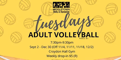 Adult Volleyball