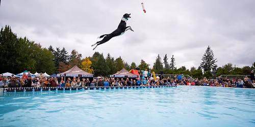 DockDogs\u00ae at Issaquah Salmon Days