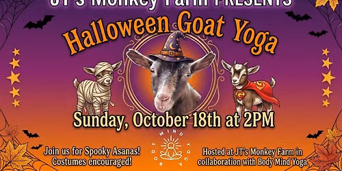 Halloween Goat Yoga! \ud83d\udc7b\ud83d\udc10\ud83e\uddd8\u200d\u2640\ufe0f