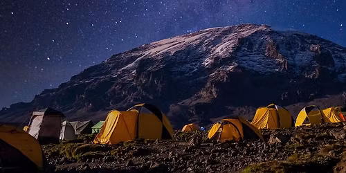 Simple Men and Southern Nights