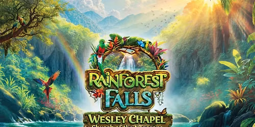 Rainforest Falls VBS 2026