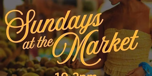 The Sunday Social at The Market at Shavano Park