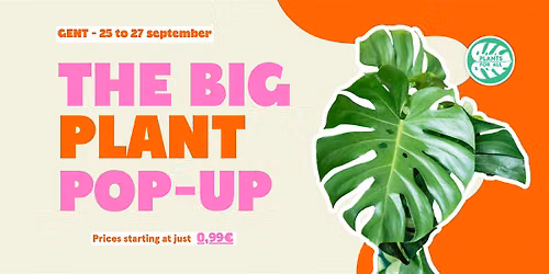 The Big Plant Pop-up - Gent