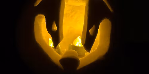 Wild Halloween