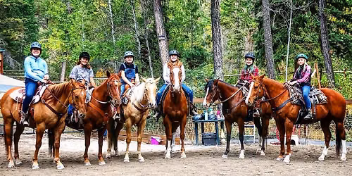 +15 Group Western Riding Lessons