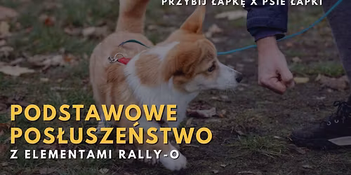PODSTAWOWE POS\u0141USZE\u0143STWO z elementami rally-o | Gdynia | Czerwiec