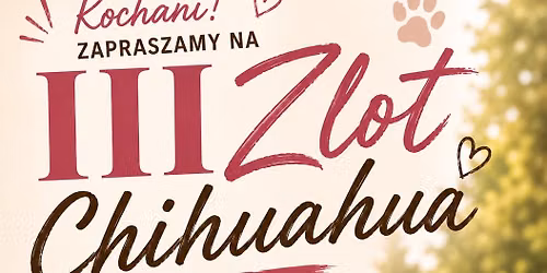 III Zlot chihuahua OW ADA