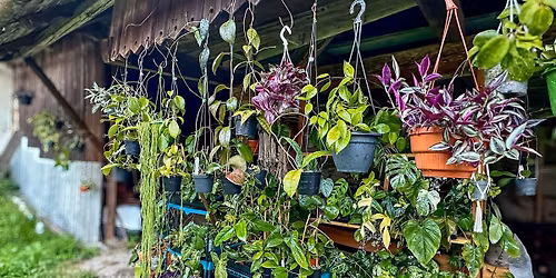 Benefi\u010dn\u00ed kv\u00edtkobazar vol. 5