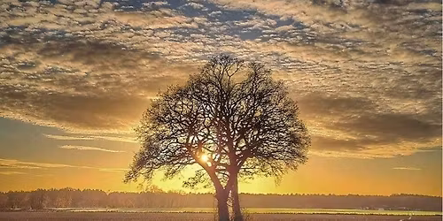 Winter Solstice Walk