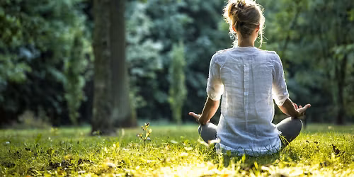 Meditate in Bushy Park