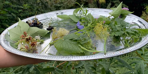 Thee in de tuin - Groengids wandeling met proeverij
