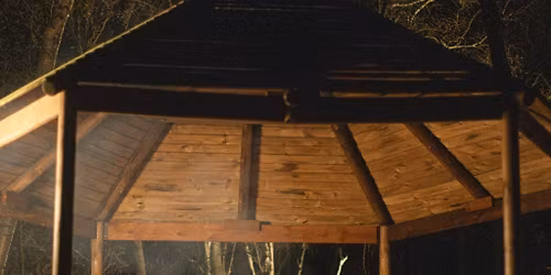 Folk at Nortons: Juniper - Album Launch