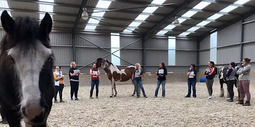 Demonstration of Equine Assisted Psychotherapy & Personal Development (Eagala Model)