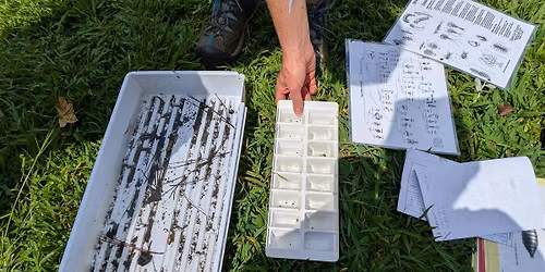 Georgia Adopt-A-Stream Macroinvertebrate Monitoring Workshop