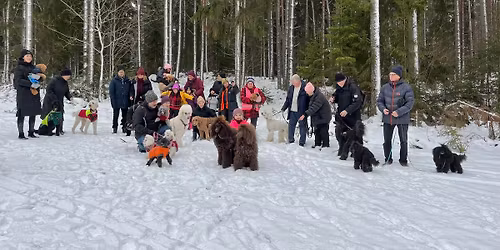 Ny\u00e5rsaftonpromenad i \u00c4ngsj\u00f6