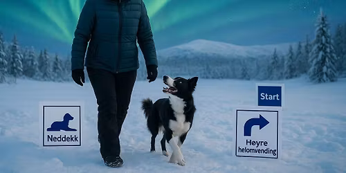 Vinterstevne - Januar 2026 Harstad