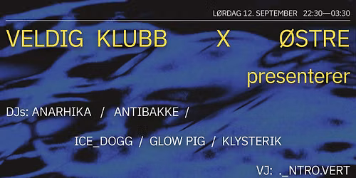 Veldig Klubb pres. Anarhika, Glow Pig, Antibakke, Ice_Dogg og Klysterik