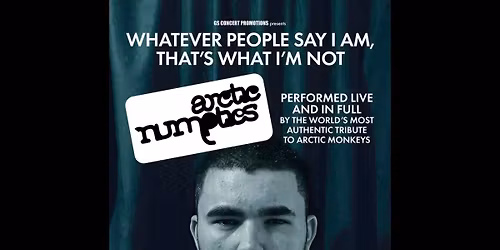 Arctic Numpties Debut Album 20th Anniversary Show | Derby