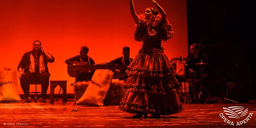 Carmen by Bizet \u2013 Flamenco