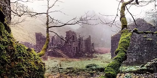 Hidden Secrets of the Upper Derwent - Ranger Guided Walk