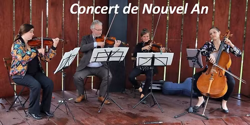 Concert du Nouvel An par l'Ensemble Darius