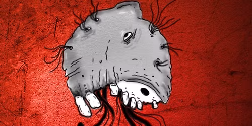 Presentaci\u00f3n de Fanzine