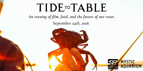 Tide To Table