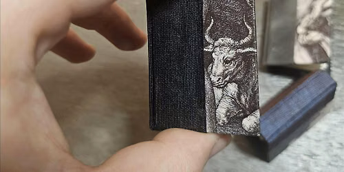 Vision Kids: Micro Books AM